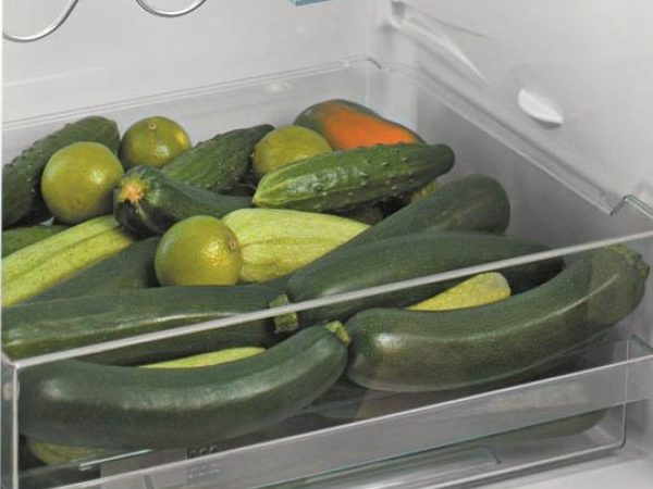 Хранение кабачков в холодильнике