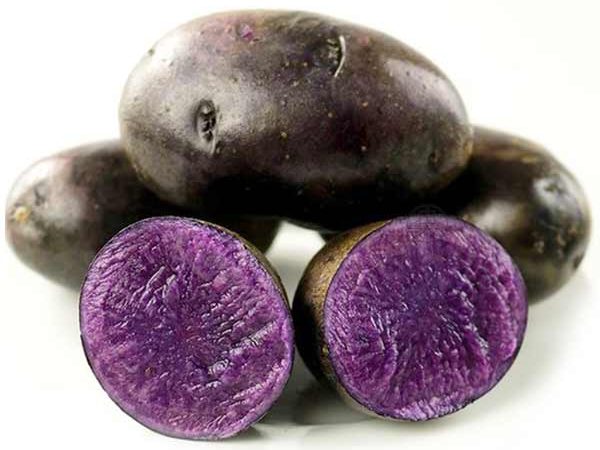 Фиолетовый картофель сорт Солоха