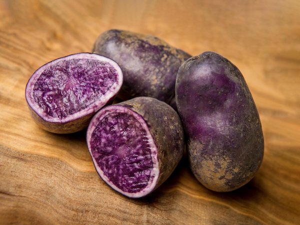 Фиолетовый картофель сорт Вителот